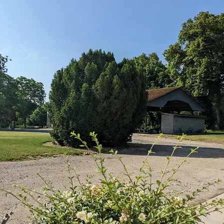 Domaine Du Cambos Boves