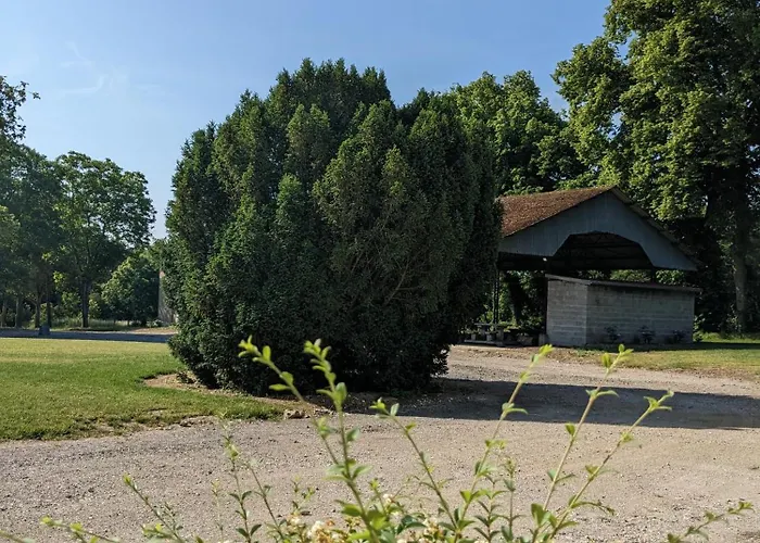 Domaine Du Cambos Boves