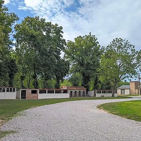Domaine Du Cambos *